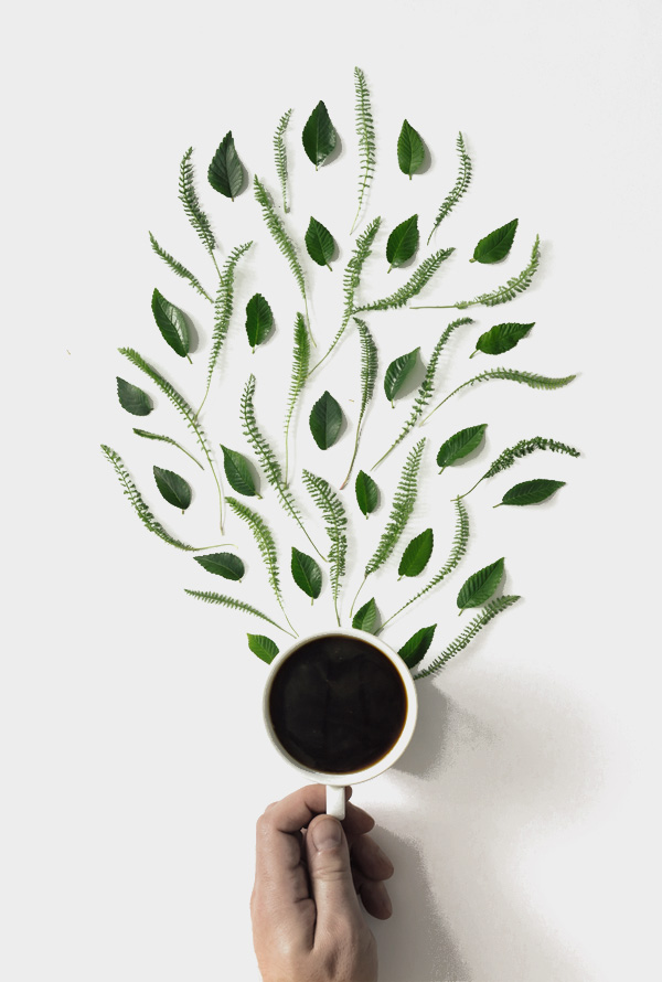 Wood Sculptures